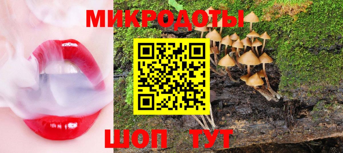 Псилоцибиновые грибы Psilocybe  Вход с VPN  Россошь 